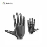 BrainCo Bionic Dexterous Hand Revo 2