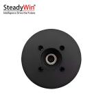 SteadyWin DD3006 Motor