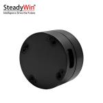 SteadyWin DD3006 Motor
