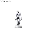 Galbot G1 Robot