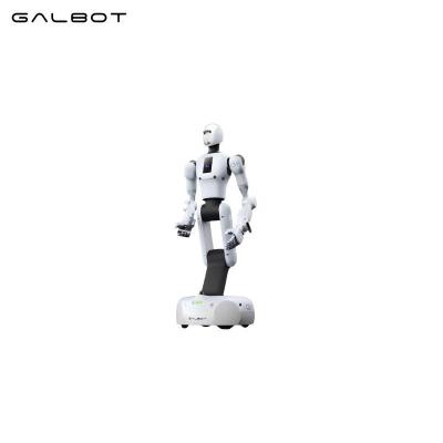 Galbot G1 Robot