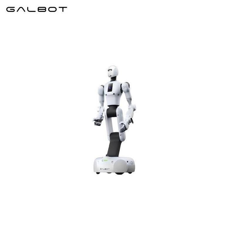 Galbot G1 Robot