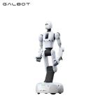 Galbot G1 Robot