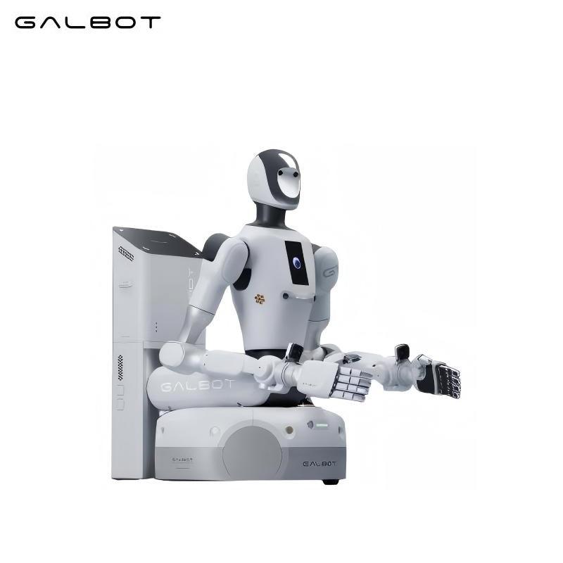 Galbot G1 Robot