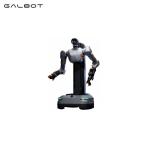 Galbot S1 Heavy-Duty Robot