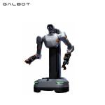 Galbot S1 Heavy-Duty Robot