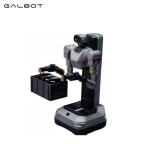 Galbot S1 Heavy-Duty Robot