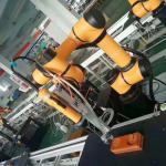 DC 48V Collaborative 6 Axis 200W Industrial Robot Arm