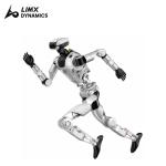 LimX Oli Humanoid Robot