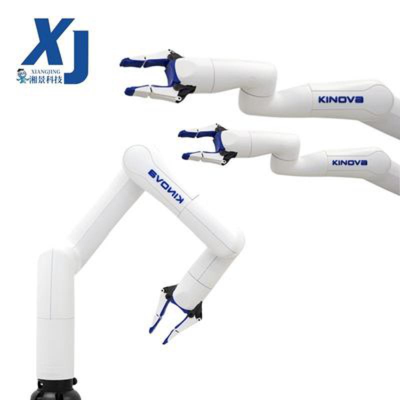 Compact Smart 6 Axis Robotic Arm Kinova Gen3 Lite Collaborative Robot Cobot for Universities and Labs