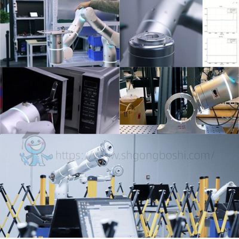 Flexiv Rizon 10 Rizon 10s 7 Axis Cobot Robot Arm Pick and Place Machine Collaborative Robots with China Robotic Gripper