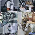 Flexiv Rizon 10 Rizon 10s 7 Axis Cobot Robot Arm Pick and Place Machine Collaborative Robots with China Robotic Gripper