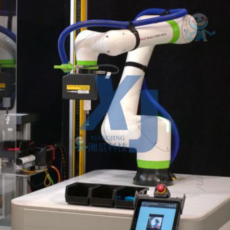 6 Axis Robotic Arm Fanuc CRX-10iA CRX-25iA Carton Packing Handling Palletizing Collaborative Robot Price