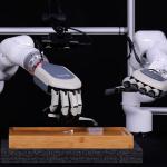 Dexrobot Humanoid Five Fingers Dexterous Hand Dexrobot Dexhand021 MP Pro