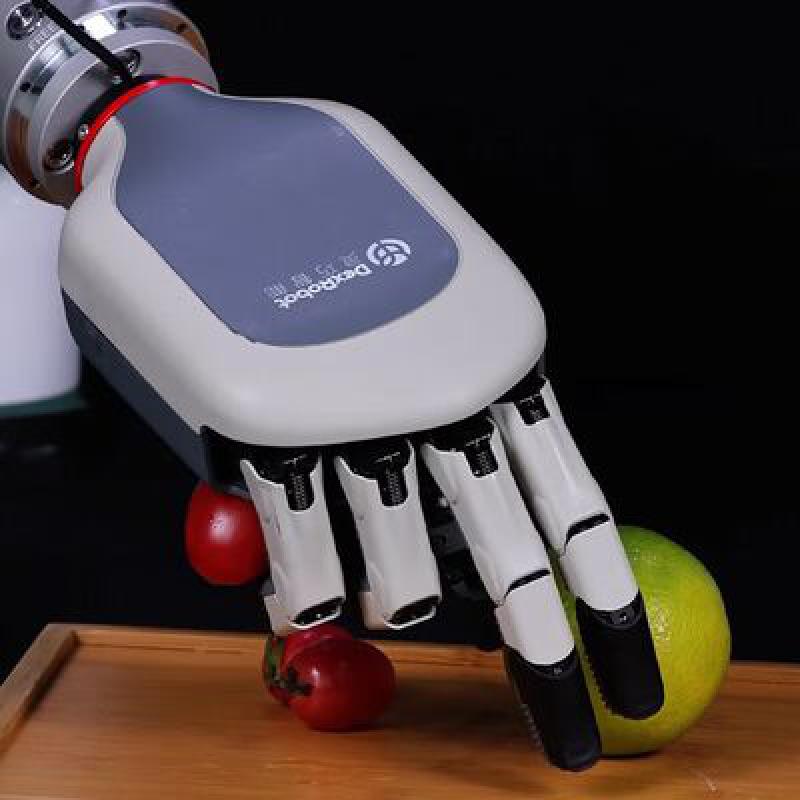 Dexrobot Humanoid Five Fingers Dexterous Hand Dexrobot Dexhand021 MP Pro