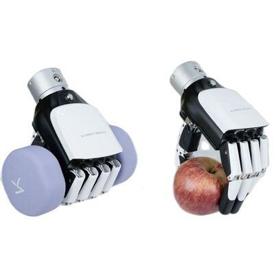 Inspire Robots RH56E2 RH56F1 Collaborative Robot 5 Fingers 6DOF 12 Joints Dexterous Hand for Human Robot Educational Research