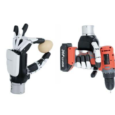 Inspire Robots RH56E2 RH56F1 Collaborative Robot 5 Fingers 6DOF 12 Joints Dexterous Hand for Human Robot Educational Research