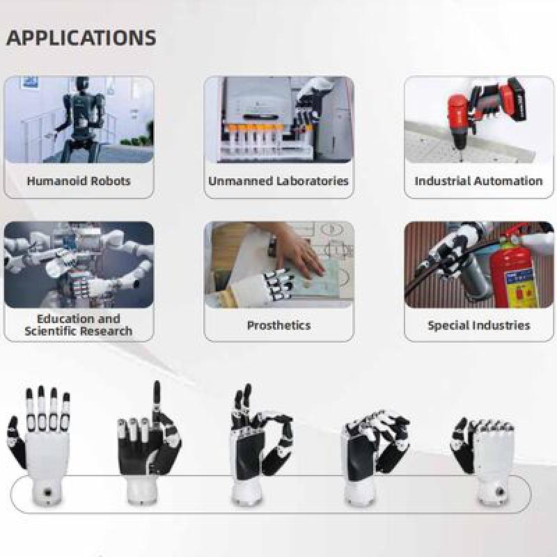 HANS HUAYAN Inspire RH56E2-L RH56E2-R RH56F1-E2R-T1 RH56F1-E2L-T1 RH56F1-E4R-T1 RH56F1-E4L-T1 AI Robotic Dexterous Hand