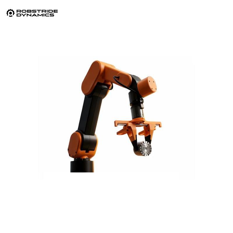 ROBSTRIDE Edulite A3 Arm