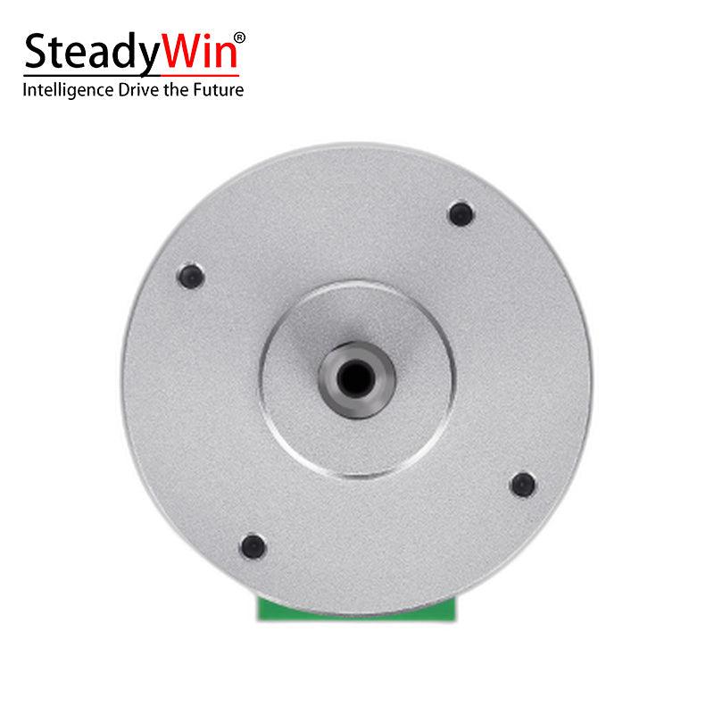 SteadyWin 4210AIO Servo Motor