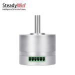 SteadyWin 4210AIO Servo Motor
