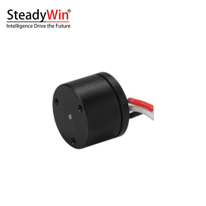SteadyWin GB1105 Motor