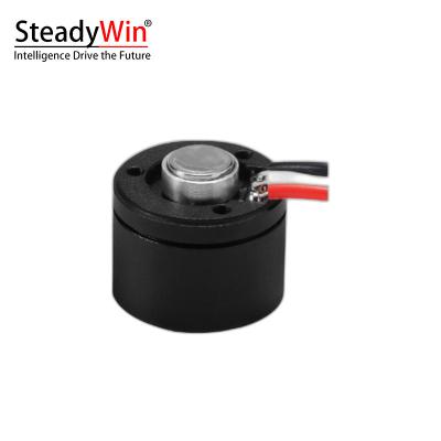 SteadyWin GB1105 Motor