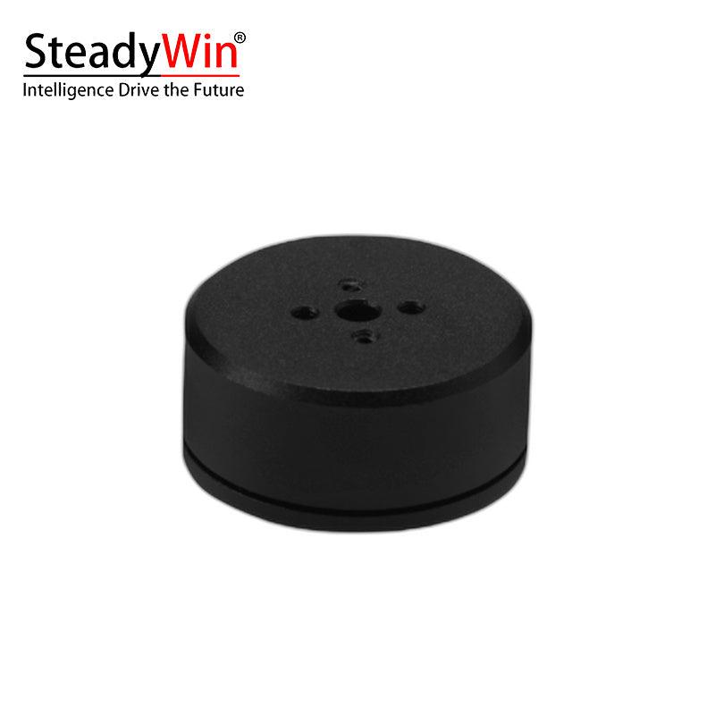 SteadyWin GB2205 Motor