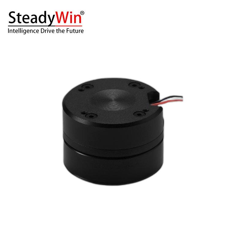 SteadyWin GB2806 Motor
