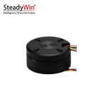 SteadyWin GB4310 Motor
