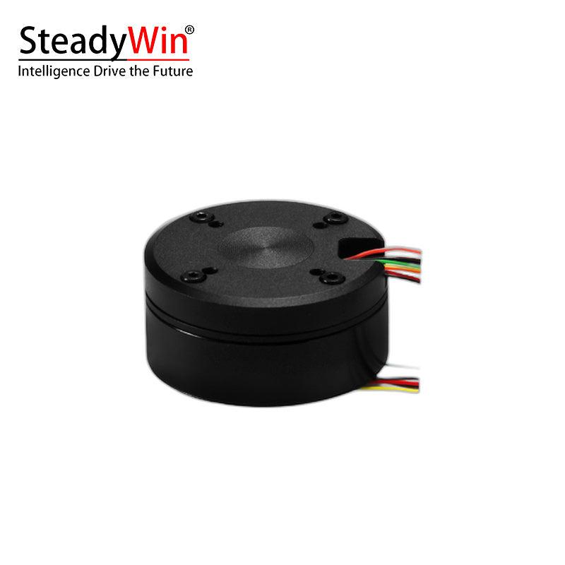 SteadyWin GB4310 Motor