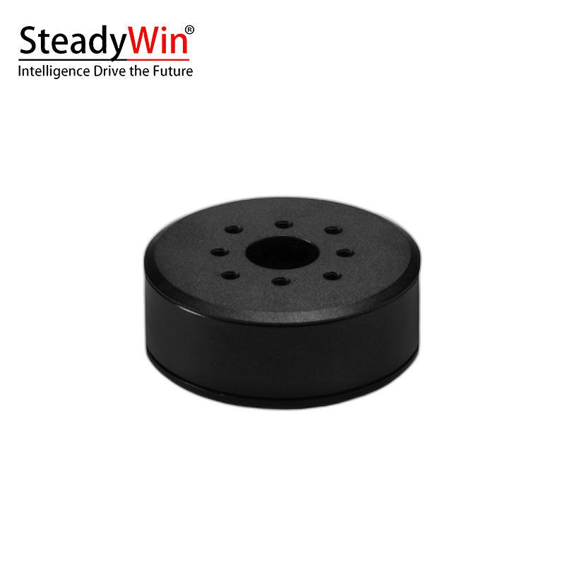 SteadyWin GB4310 Motor
