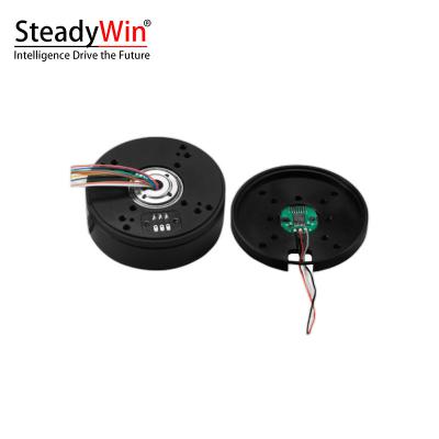 SteadyWin GB5210 Motor