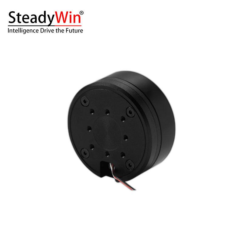SteadyWin GB5210 Motor