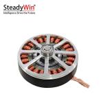 SteadyWin GWK6010-8 Motor
