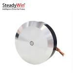 SteadyWin GWK6013-9 Motor