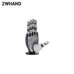 ZWHAND DM17 Dexterous Hand